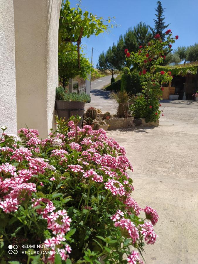 B&B Troisi Racalmuto Екстериор снимка